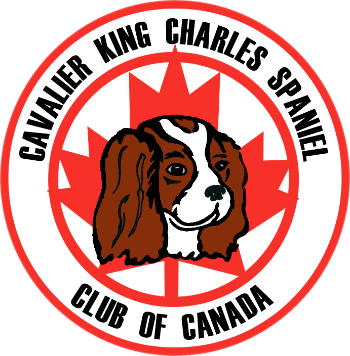 Cavalier King Charles Spaniel Club Of Canada