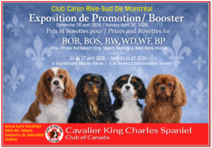 Rive-Sud Montreal Booster